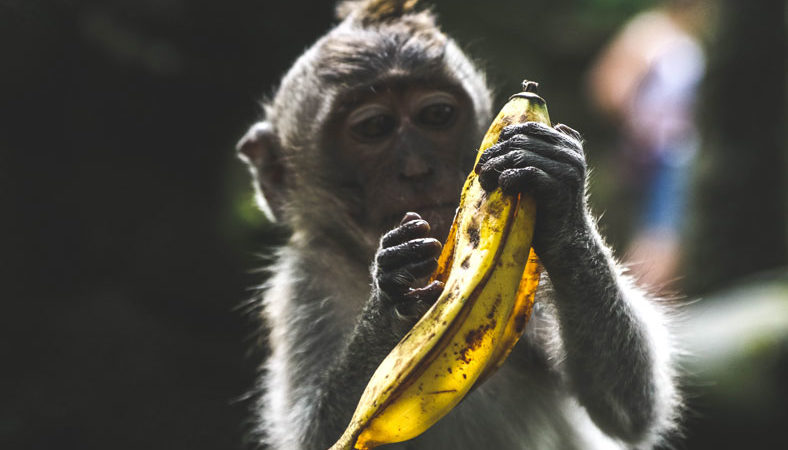 banane
