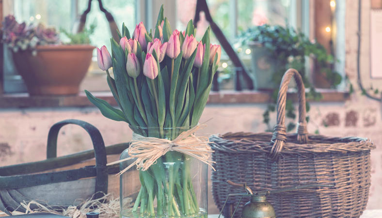 tulipani